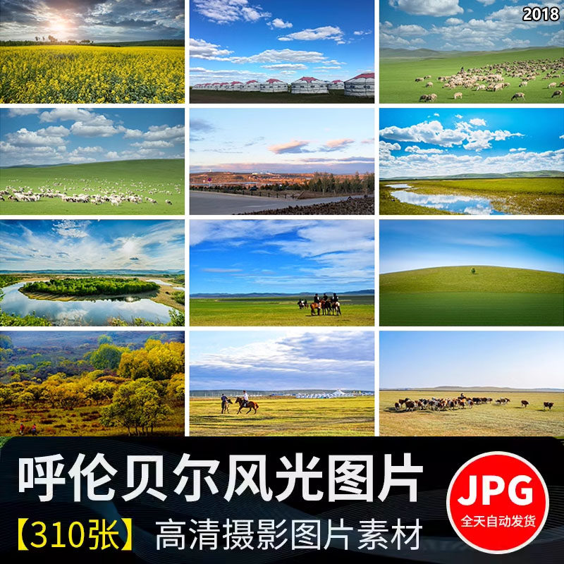 大草原内蒙古呼伦贝尔草地旅游风景蓝天牛羊马群牧场高清图片素材