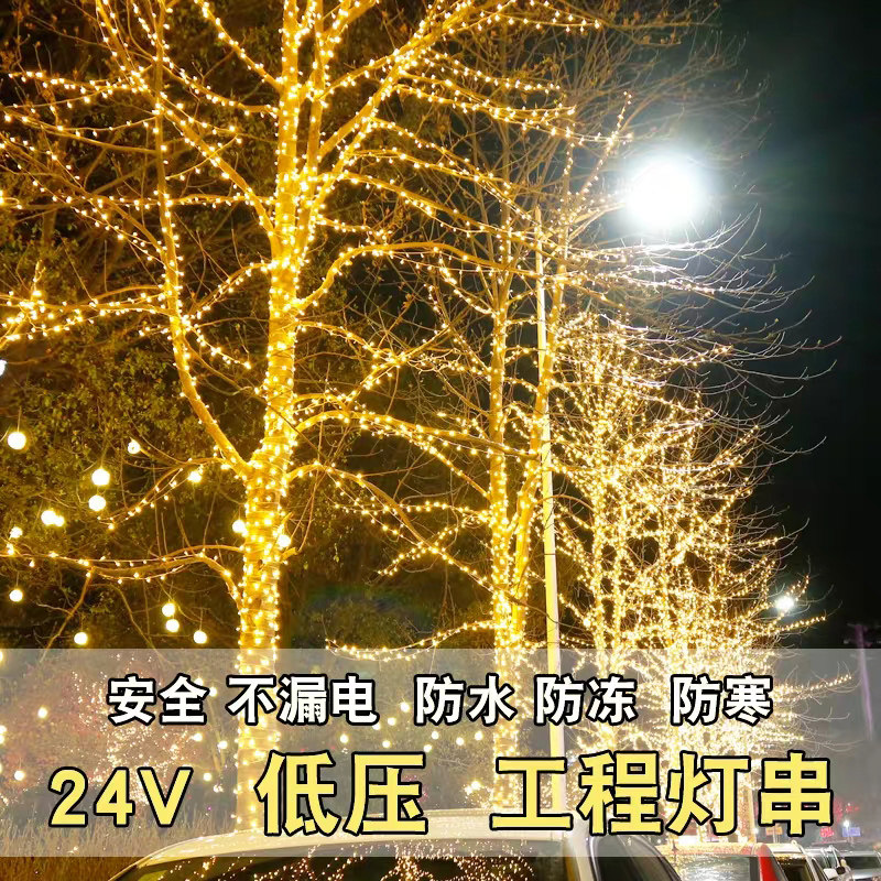 led彩灯闪灯串灯 满天星 户外防水低压24v黑线灯串 工程亮化装饰