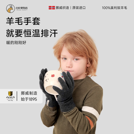 挪威JANUS美利奴秋冬儿童羊毛手套保暖时尚耐寒户外骑行