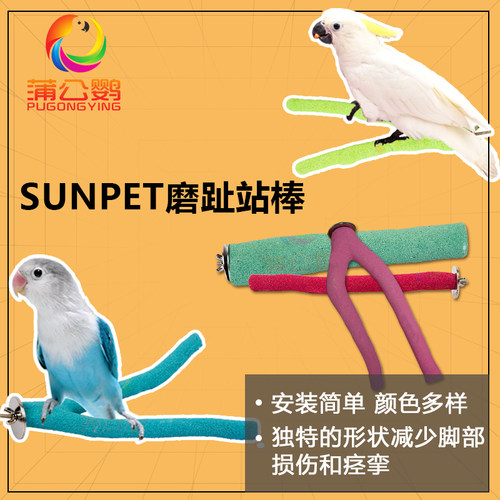 热卖太阳折衷葵花亚马各种灰鹦鹉