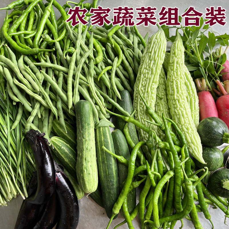 四川农家当季新鲜蔬菜组合套餐二荆条辣椒四季豆黄瓜苦瓜茄子萝卜