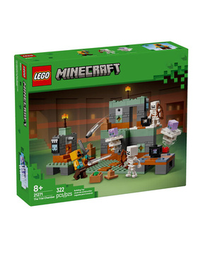 LEGO乐高21271我的世界试炼密室男孩积木拼装礼物收藏玩具