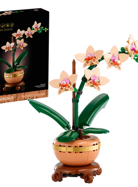 LEGO乐高10343花植系列典雅兰男孩女孩休闲益智类积木玩具