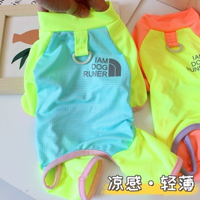 宠物泰迪比熊小狗狗夏天衣服四脚狗狗冰丝凉感衣防掉毛薄款透气装