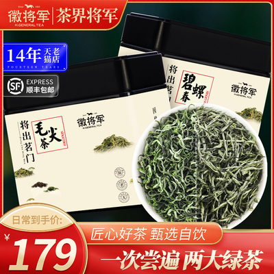 2024年新茶毛尖茶碧螺春共250g