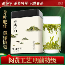 徽将军2025新茶将出霍山黄芽明前特级嫩芽原产地黄茶茶叶安徽春茶
