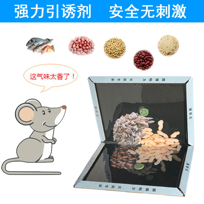 늑대 챔피언 강한 두꺼운 끈적 끈적한 마우스 보드 마우스 스티커 가정용 설치류 킬러 유물 천벌 캡처 마우스 끈적 보드 종이 접착제 클립