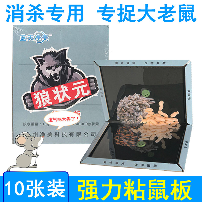 늑대 챔피언 강한 두꺼운 끈적 끈적한 마우스 보드 마우스 스티커 가정용 설치류 킬러 유물 천벌 캡처 마우스 끈적 보드 종이 접착제 클립