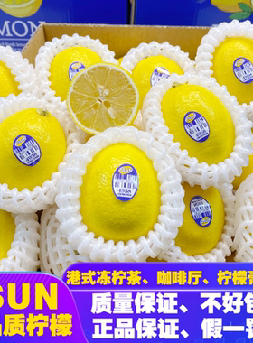 TSUN精选黄柠檬港式茶餐厅冻柠茶咖啡厅奶茶店柠檬膏专用黄柠檬