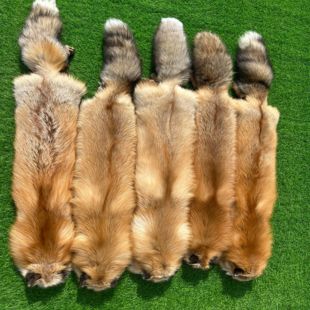 真毛整张整只狐狸皮围巾围脖披肩男女通用冬季保暖防寒可做摆件