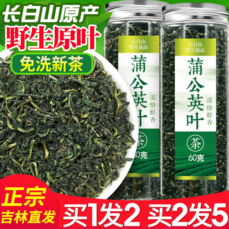 蒲公英茶叶野生天然正品长白山蒲公英叶茶蒲公英茶花茶干茶新茶