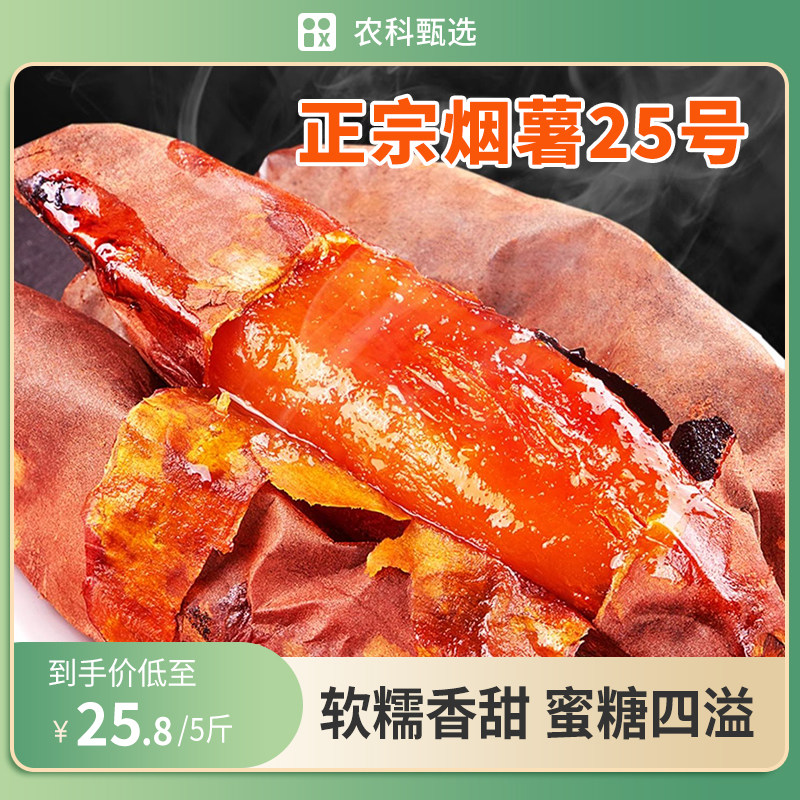 烟薯25号大果5斤烟台农科院生鲜农产品糖心流油红薯现挖沙地蜜薯