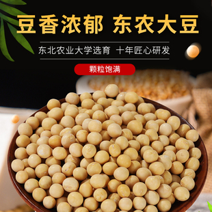 东农豆东北农业大学黄豆豆浆专用豆营养精品农家自种黄豆大豆蛋白
