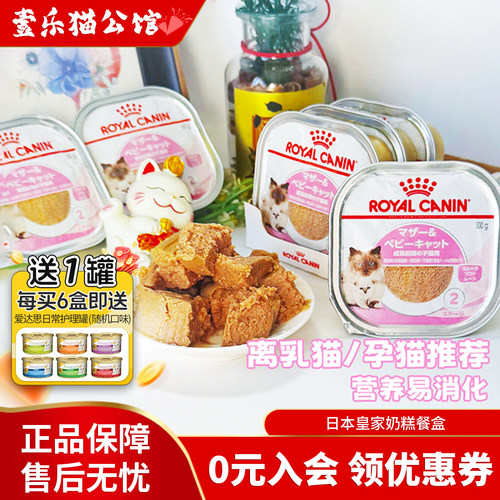 日本皇家奶糕餐盒营养慕斯罐头