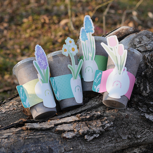 花信种球种植套装荷兰进口球办公室多年生花卉儿童种植好养小盆栽