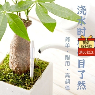花信水分计土壤湿度检测仪养花浇水缺水提醒仪辨别干湿简便实用