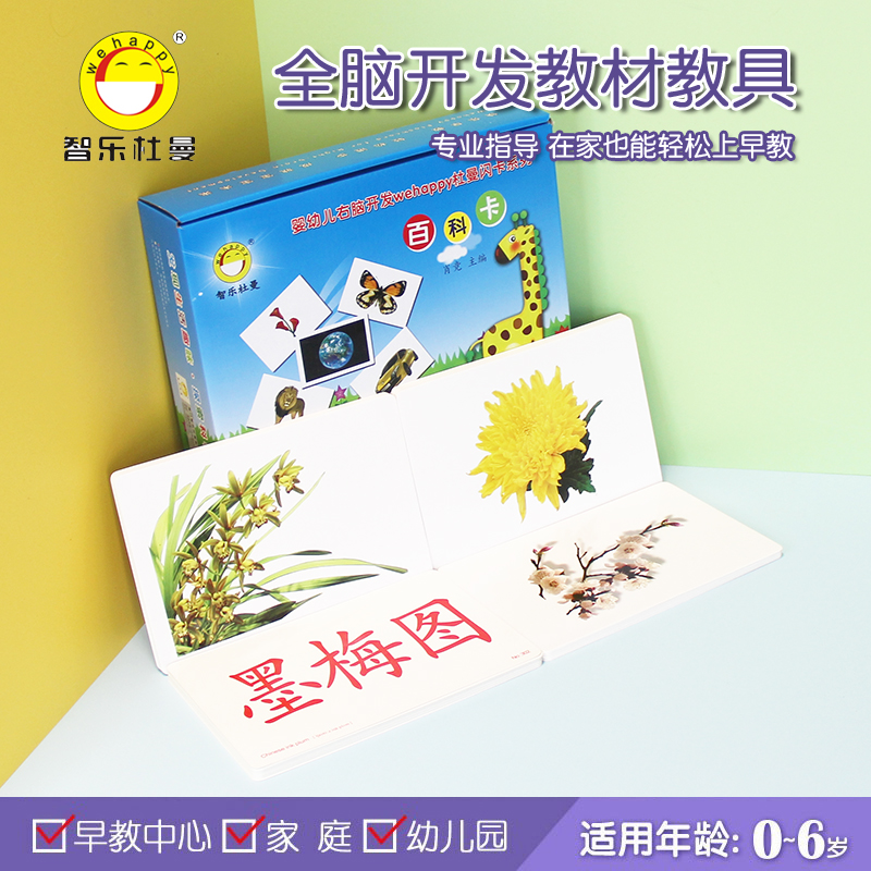百科卡中文识字卡 智乐杜曼闪卡304张早教训练启蒙食物水果动物卡