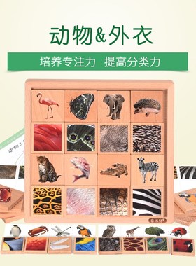 金派儿0529【动物&外衣】3-6岁观察常识分类语言表达能力全脑教具