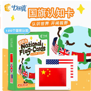 七田真国旗卡名胜古迹卡世界名画卡幼儿园全脑开发教具闪卡训练