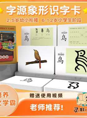 字源象形文字识字卡早教认知