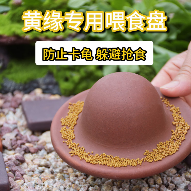 黄缘龟乌龟喂食盘半水龟安缘龟箱龟缸造景龟苗专用食盆大小型食台