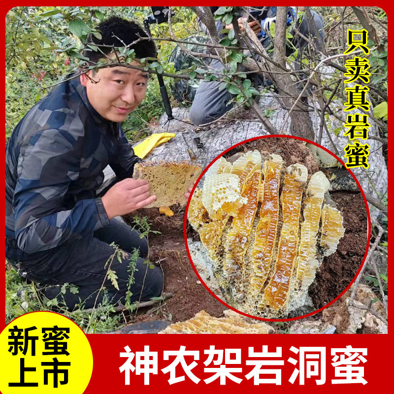 神农架野生土蜂蜜百花蜜深山岩洞蜜结晶蜜崖蜜石洞树洞蜜500g
