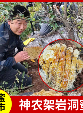 神农架野生土蜂蜜百花蜜深山岩洞蜜结晶蜜崖蜜石洞树洞蜜500g