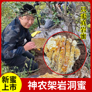 神农架野生土蜂蜜百花蜜深山岩洞蜜结晶蜜崖蜜石洞树洞蜜500g