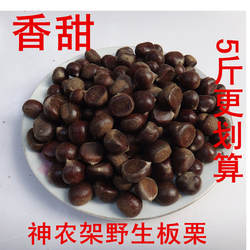 2025年神农架野生板栗新鲜小板栗毛栗新鲜油栗山栗生栗5斤包邮