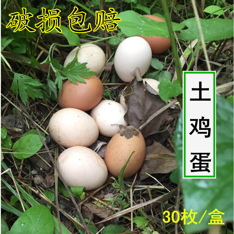 农家散养新鲜土鸡蛋 正宗草鸡柴鸡笨母鸡白壳绿壳天然土鸡蛋,水产肉类/新鲜蔬果/熟食,鸡蛋,淘宝优惠券,粉丝福利购,淘宝优惠卷