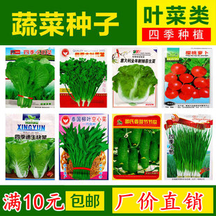蔬菜种子阳台农家四季易种套餐水果黄瓜菜籽盆栽草莓番茄青椒包邮