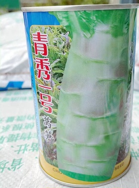 永安青秀一号莴苣种子春秋季耐热尖叶青笋莱孑耐寒飞桥香莴笋种籽