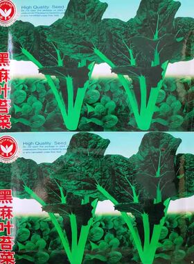 老品种本地黑麻叶苔菜种子耐寒耐抽薹黑油白菜阳台四季播大田蔬菜