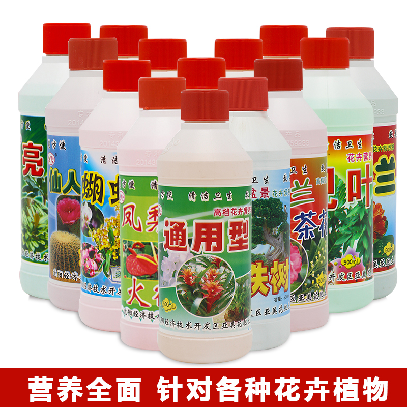 君子兰茶花专用营养液榕树铁树养花肥料火鹤红掌蝴蝶兰花液体花肥