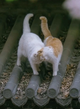 直播专拍私人定制补邮费北玺珠宝