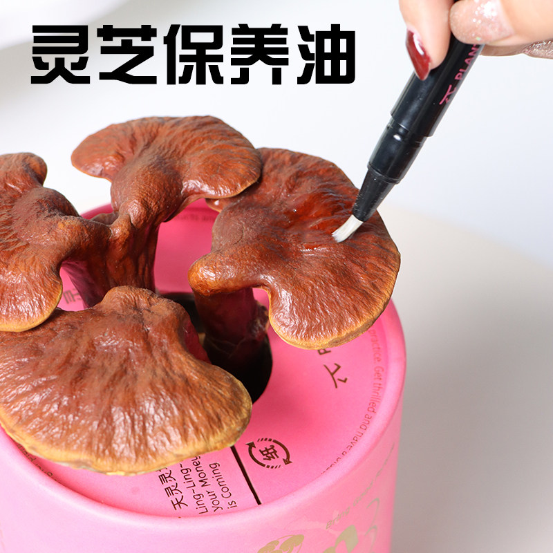 灵芝保养油室内灵芝营养液菌类通用绿植盆栽养护用品灵芝盆景专用图片