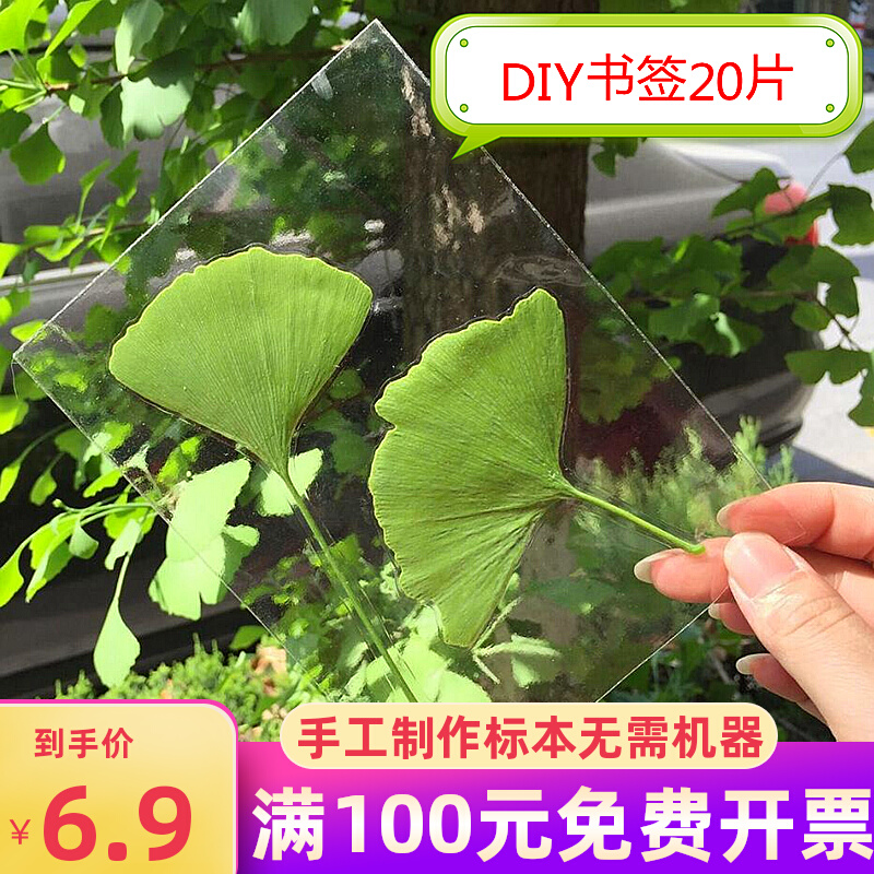 纯手工树叶标本膜5寸冷裱膜防水