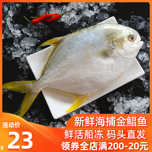 肉鲳鱼多少钱 肉鲳鱼价格 小麦优选
