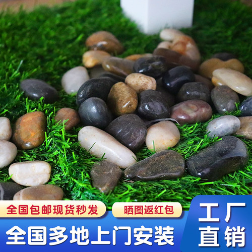 斤装木桶鱼园艺铺地鹅卵石