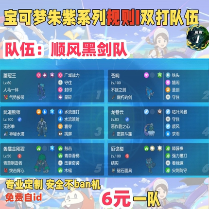 switch宝可梦朱紫规则I双打队伍顺风黑剑队6元一队