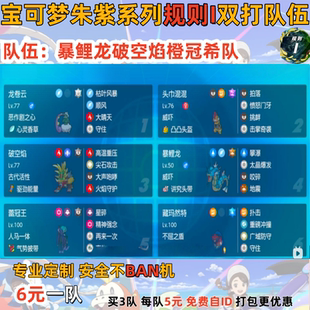 switch宝可梦朱紫规则I双打队伍暴鲤龙破空焰橙冠希队 6元一队