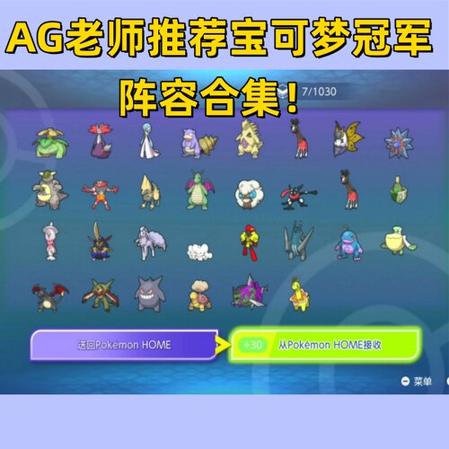 Pokémon Champions 宝可梦精灵冠军队伍满级满努力搭配 可进HOME