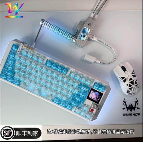 WINSHOP霓虹螺旋线 一拖二HUB航插线 电竞磁轴机械键盘数据线桌搭