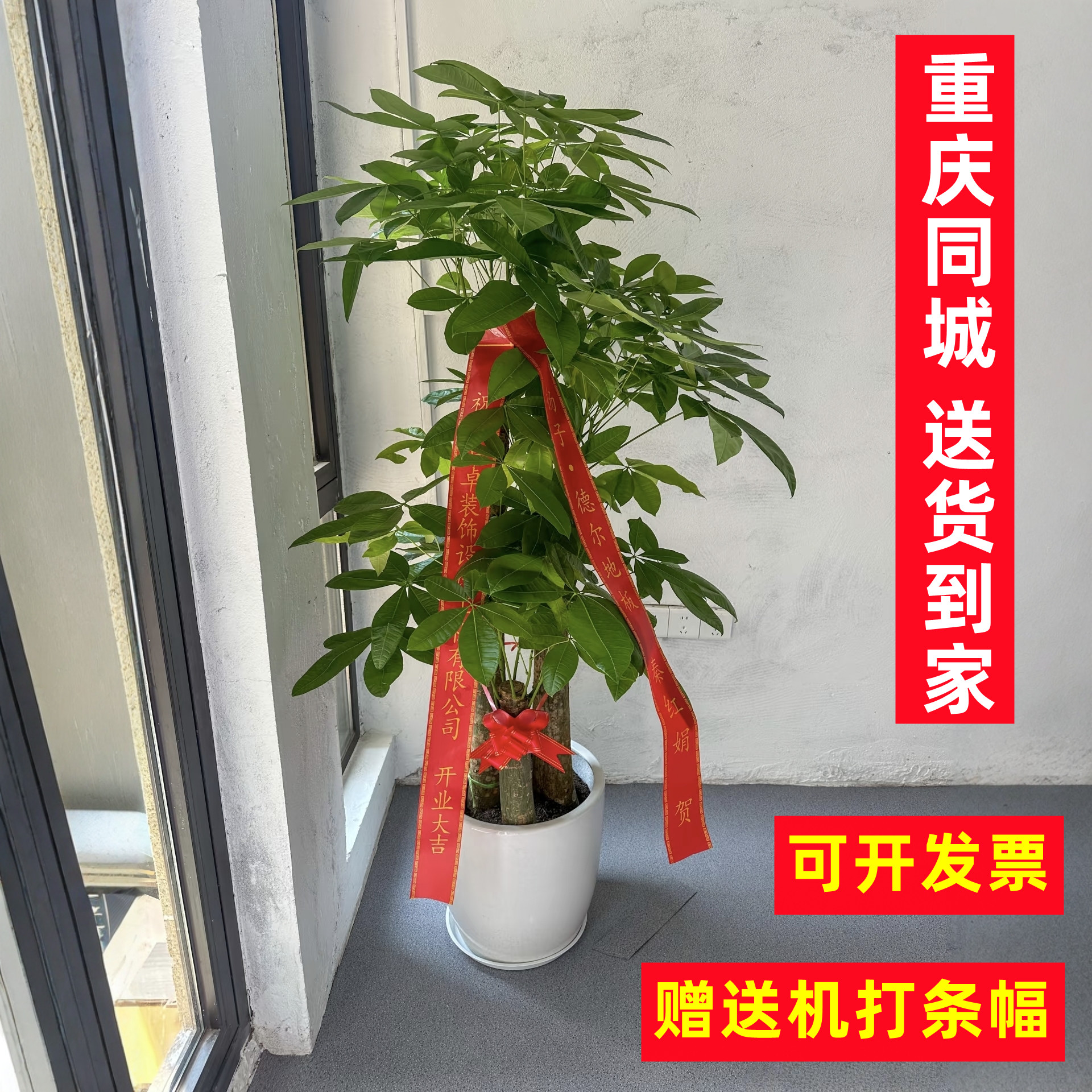 乔迁开业发财树盆栽步步高室内大型绿植客厅办公室高级植物招财树,鲜花速递/花卉仿真/绿植园艺,大型绿植/成品组合盆栽,淘宝优惠券,粉丝福利购,淘宝优惠卷