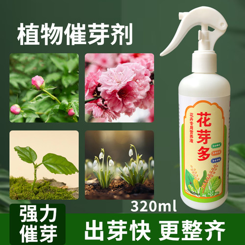 植物催芽剂老脏促发芽僵苗快速发新芽防止黄叶营养移栽生根复活液