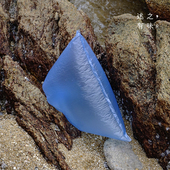 残次品自用推荐 活动包装 香薰摆件产品专拍链接 earth」特价 「love