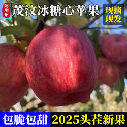四川阿坝脆甜当季现摘苹果汶川茂县冰糖心果农直发苹果红富士新鲜