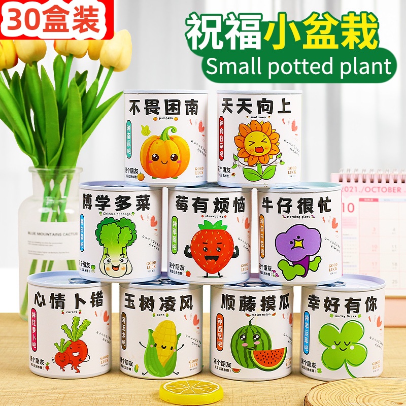 儿童节礼物幼儿园种植绿植分享奖品学生摆地摊地推奖品义卖小商品