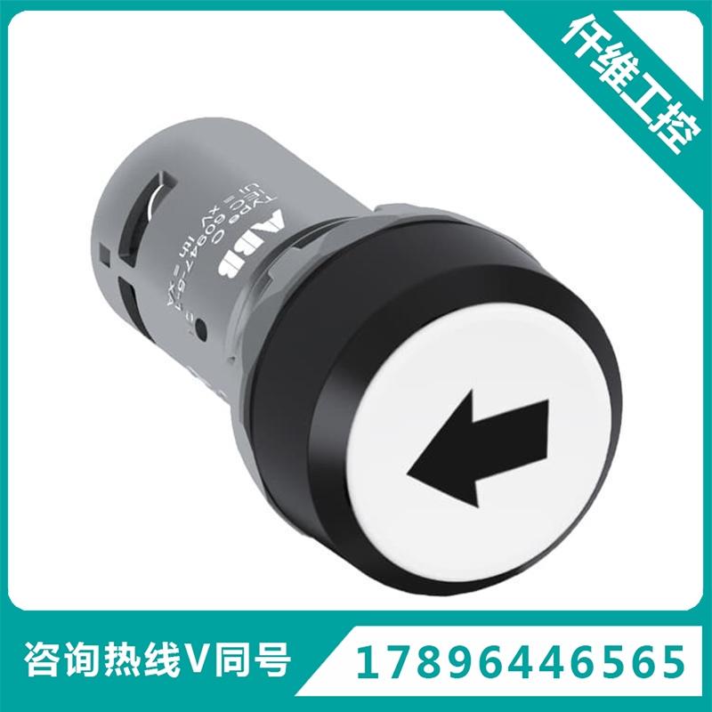 AB平头按钮CP9-1052110W1