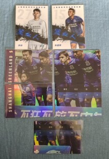 足球球星卡 2018年 DAKA 达咖 出品上海申花 拼图 蓝血人特卡